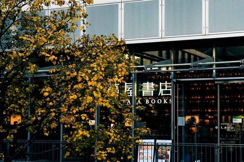 Bücherwelt am Rhein - Image 14