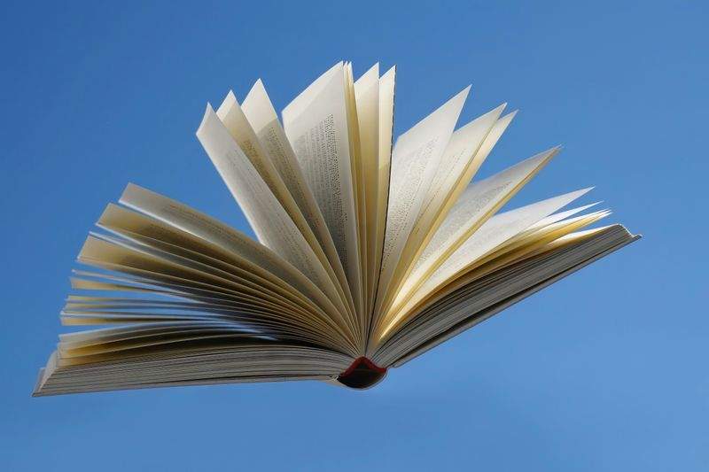 Bücherwelt am Rhein - Image 7